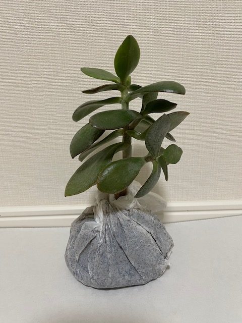 恋愛・結婚・不倫・浮気・夫婦問題など 女性専用カウンセリングルーム 美来