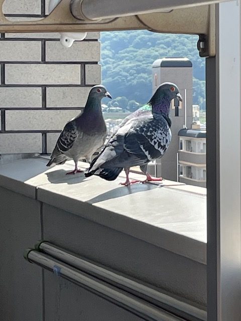 恋愛・結婚・不倫・浮気・夫婦問題など 女性専用カウンセリングルーム 美来