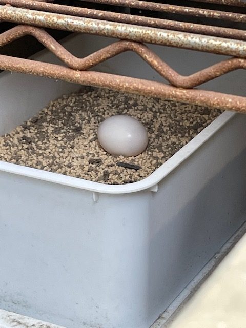 恋愛・結婚・不倫・浮気・夫婦問題など 女性専用カウンセリングルーム 美来