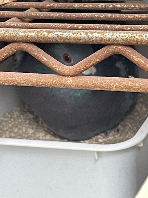 恋愛・結婚・不倫・浮気・夫婦問題など 女性専用カウンセリングルーム 美来