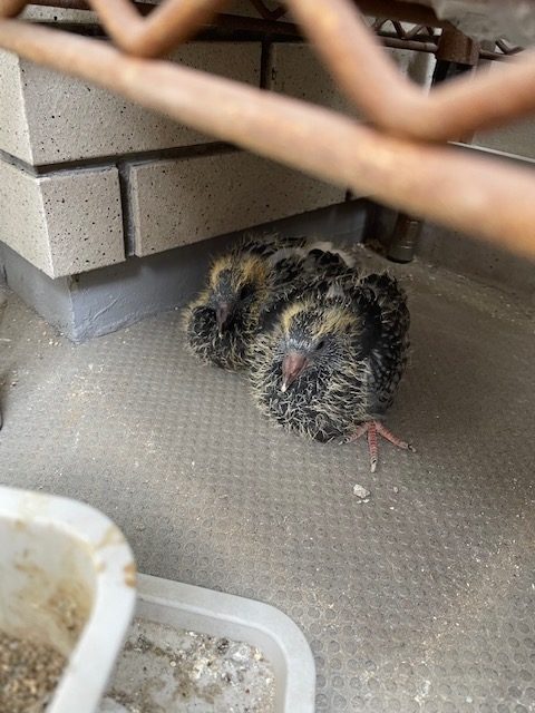 恋愛・結婚・不倫・浮気・夫婦問題など 女性専用カウンセリングルーム 美来