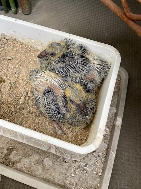 恋愛・結婚・不倫・浮気・夫婦問題など 女性専用カウンセリングルーム 美来