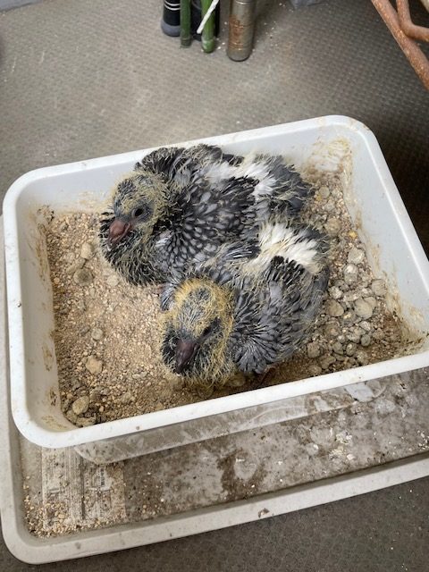 恋愛・結婚・不倫・浮気・夫婦問題など 女性専用カウンセリングルーム 美来