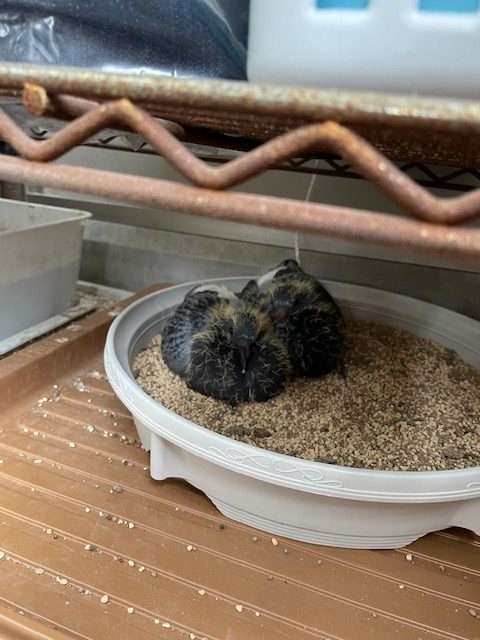 恋愛・結婚・不倫・浮気・夫婦問題など 女性専用カウンセリングルーム 美来