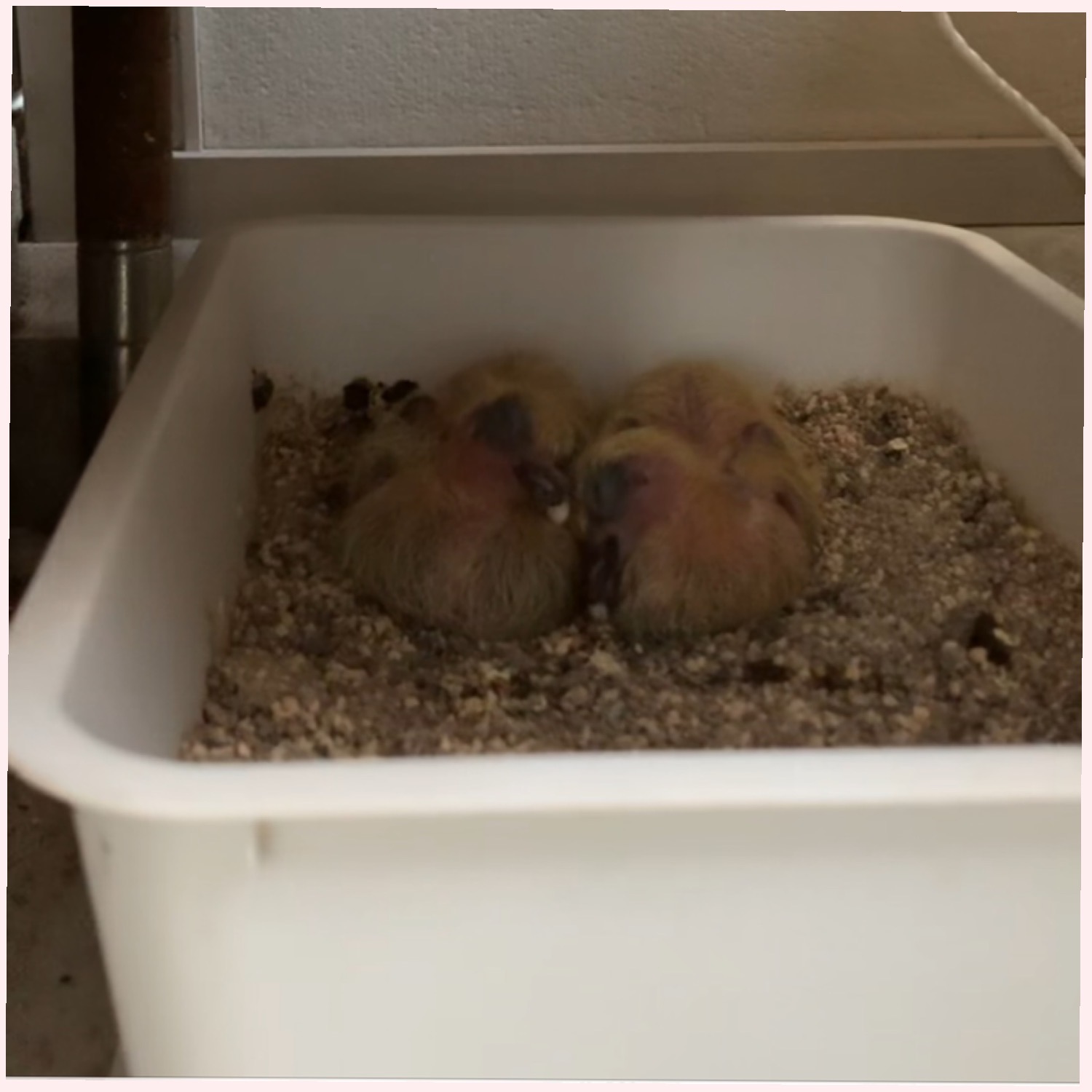 恋愛・結婚・不倫・浮気・夫婦問題など 女性専用カウンセリングルーム 美来