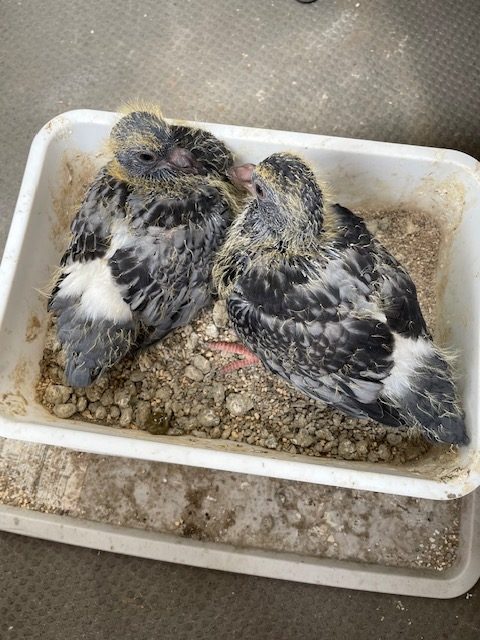 恋愛・結婚・不倫・浮気・夫婦問題など 女性専用カウンセリングルーム 美来