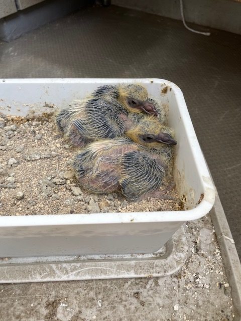 恋愛・結婚・不倫・浮気・夫婦問題など 女性専用カウンセリングルーム 美来