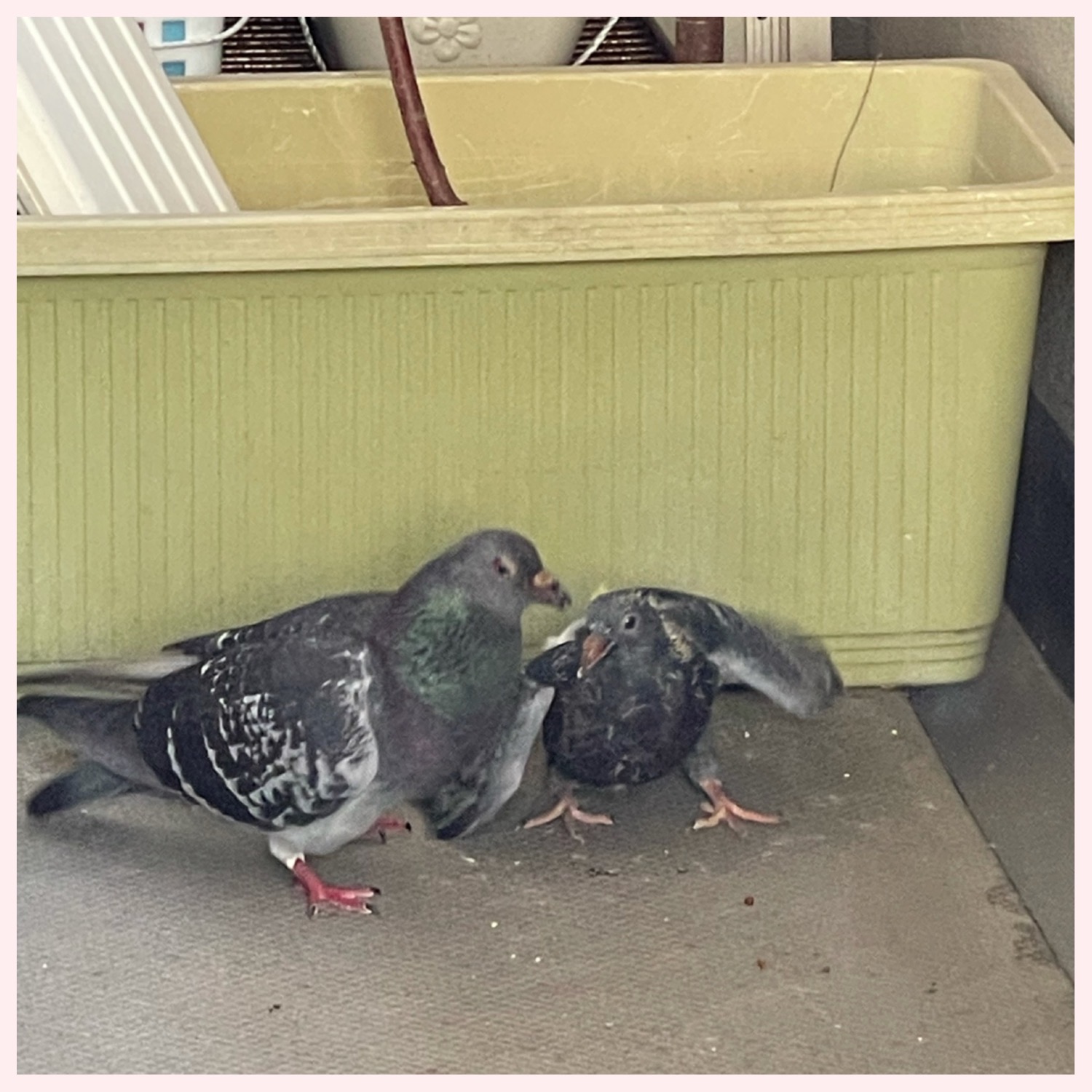 恋愛・結婚・不倫・浮気・夫婦問題など 女性専用カウンセリングルーム 美来