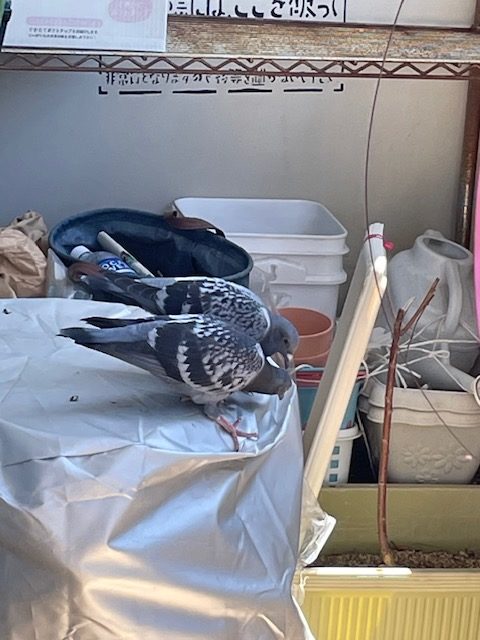 恋愛・結婚・不倫・浮気・夫婦問題など 女性専用カウンセリングルーム 美来