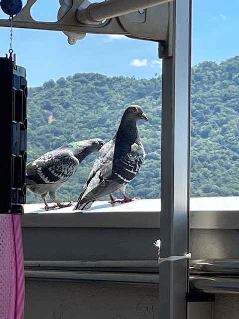 恋愛・結婚・不倫・浮気・夫婦問題など 女性専用カウンセリングルーム 美来