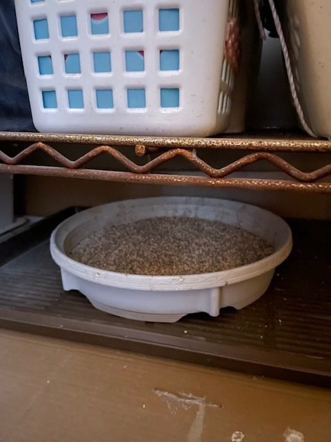 恋愛・結婚・不倫・浮気・夫婦問題など 女性専用カウンセリングルーム 美来