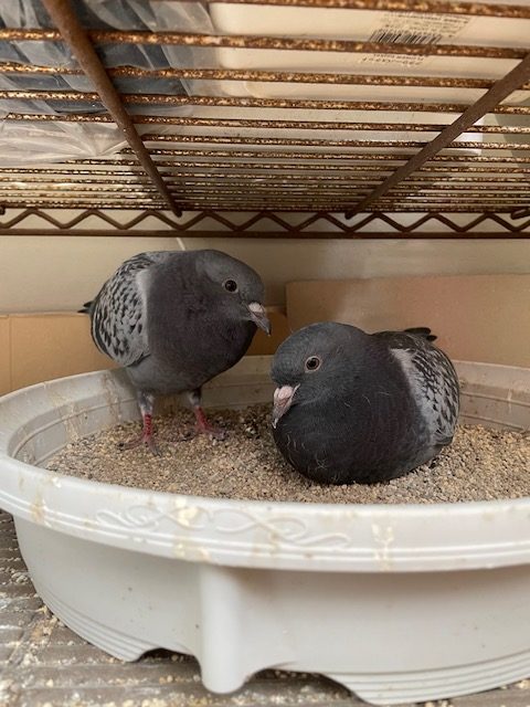 恋愛・結婚・不倫・浮気・夫婦問題など 女性専用カウンセリングルーム 美来